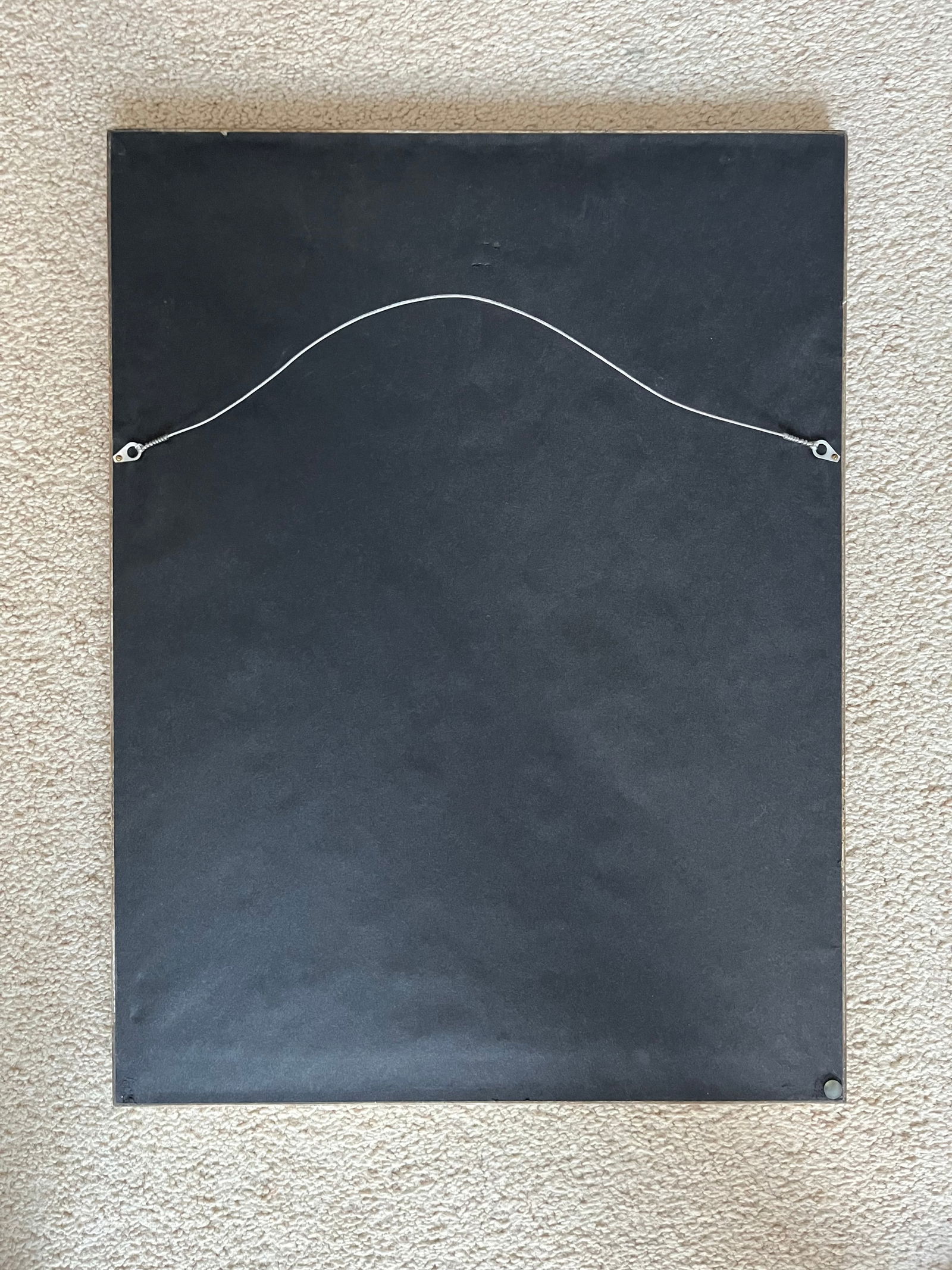 Antique Botanical Prints -Custom Framed-Adolphus Ypey-Set 3 - 6