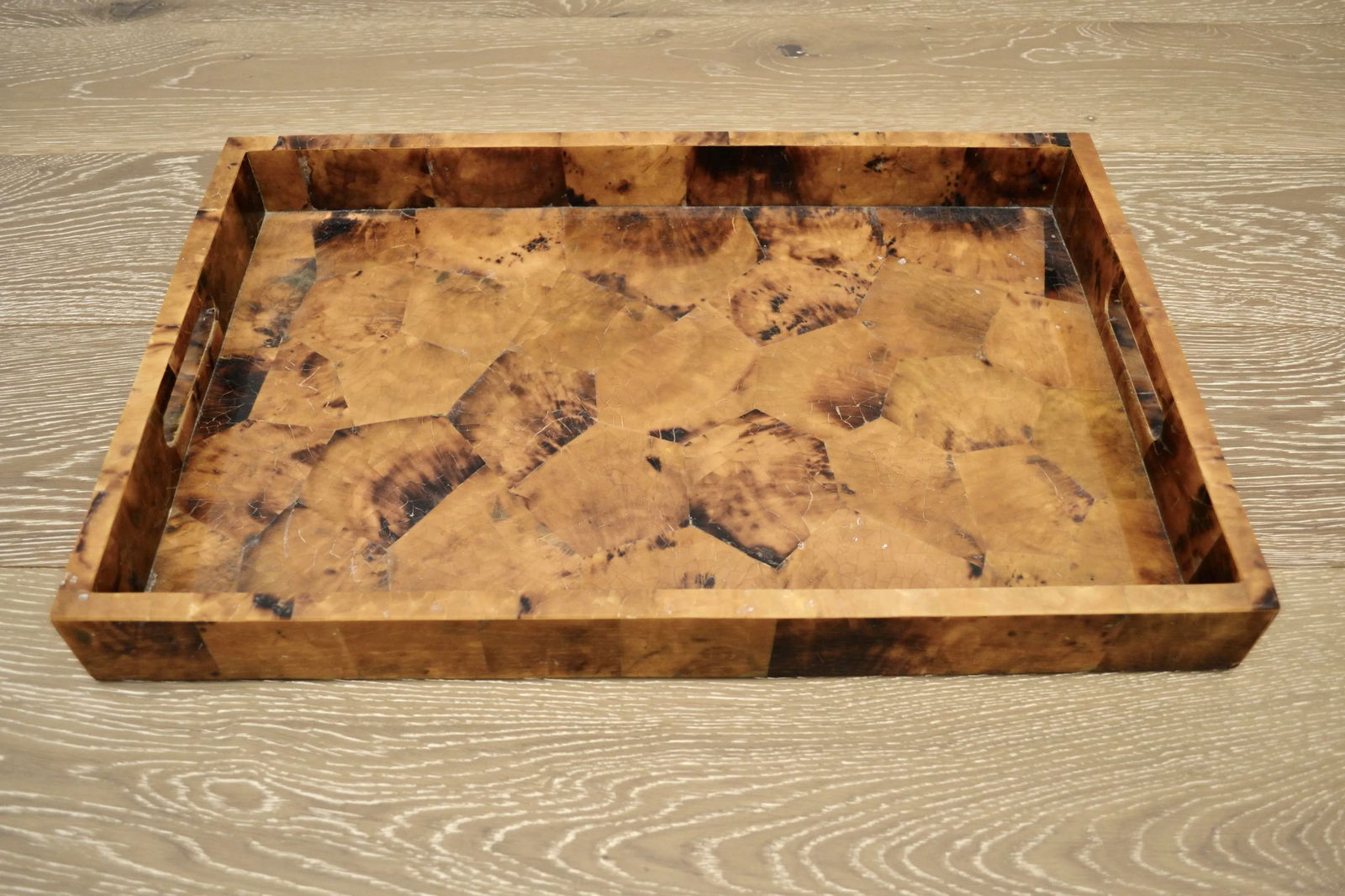 Young Pen Shell Tray by Made Goods - 2