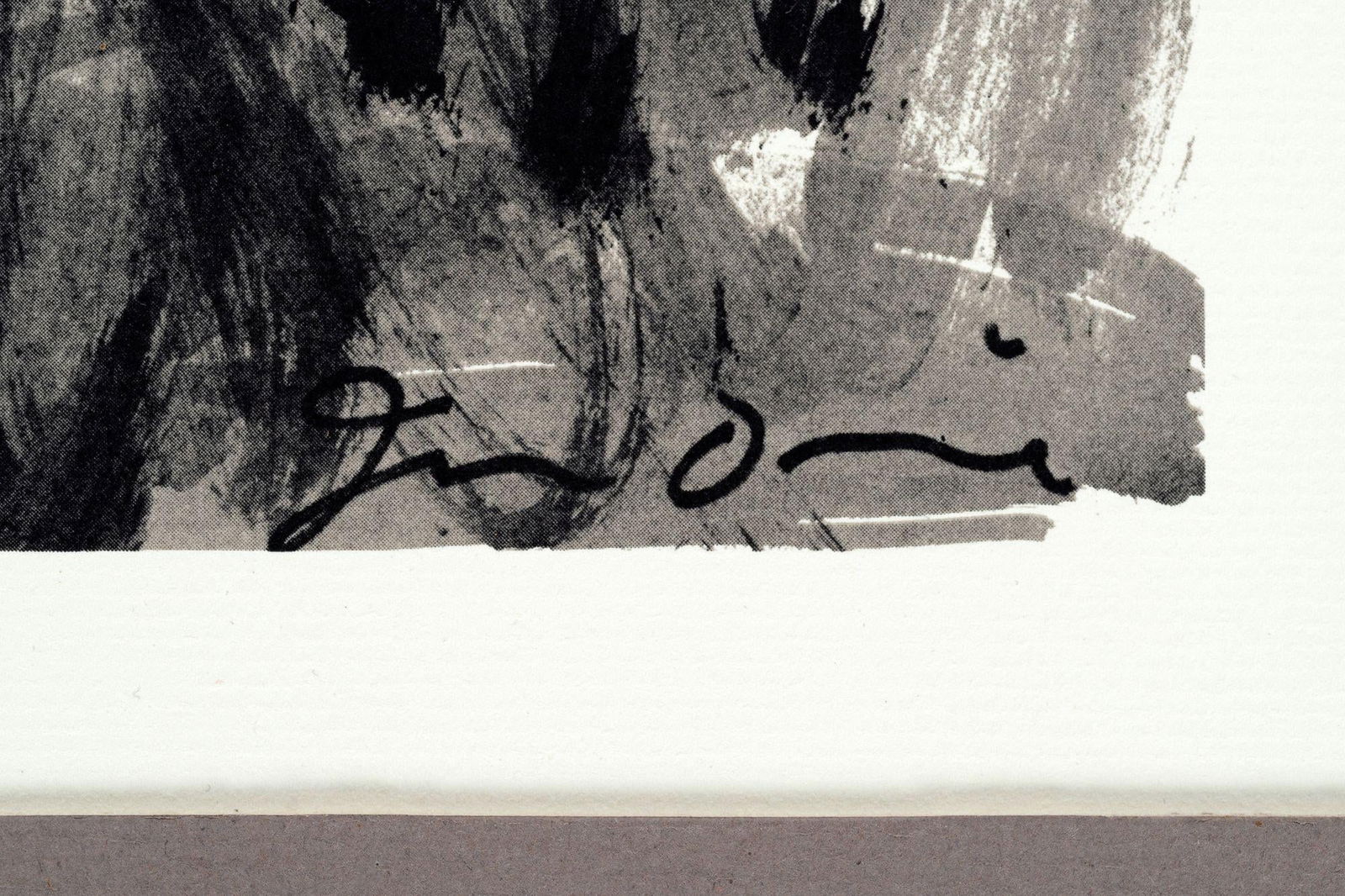 Jim Dine – Botanical, Offset Lithograph 1979 - 4