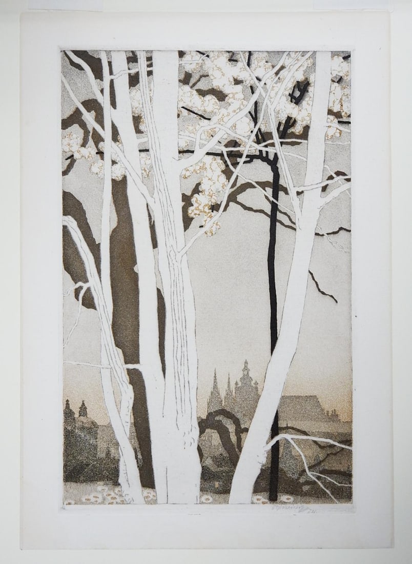 Early 20th Century Vojtech Preissig St. Vitus Cathedral Prague Aquatint - 3