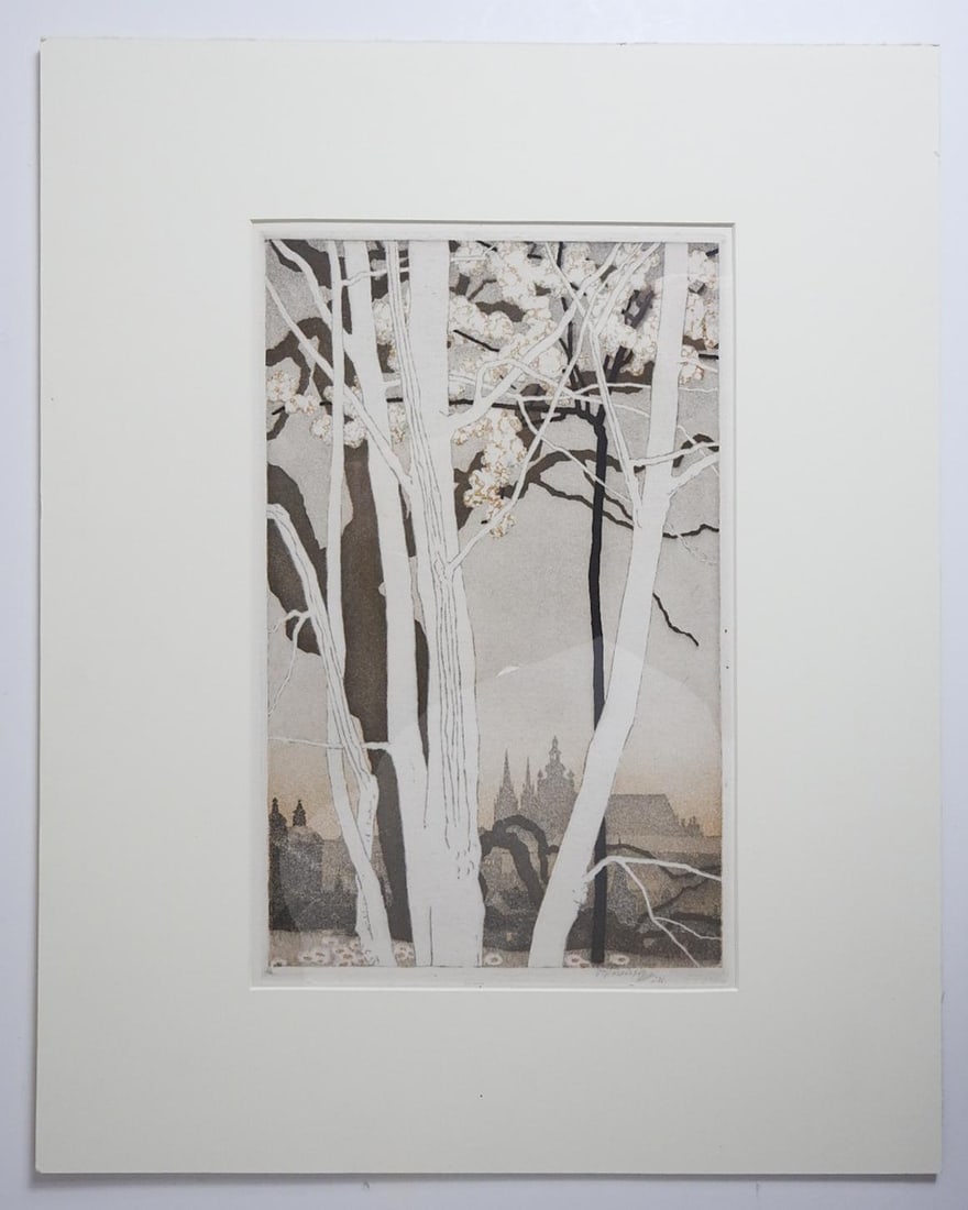 Early 20th Century Vojtech Preissig St. Vitus Cathedral Prague Aquatint - 4