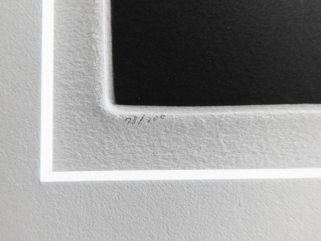 Late 20th Century Tomoe Yokoi Green Apples Still Life Mezzotint - 2