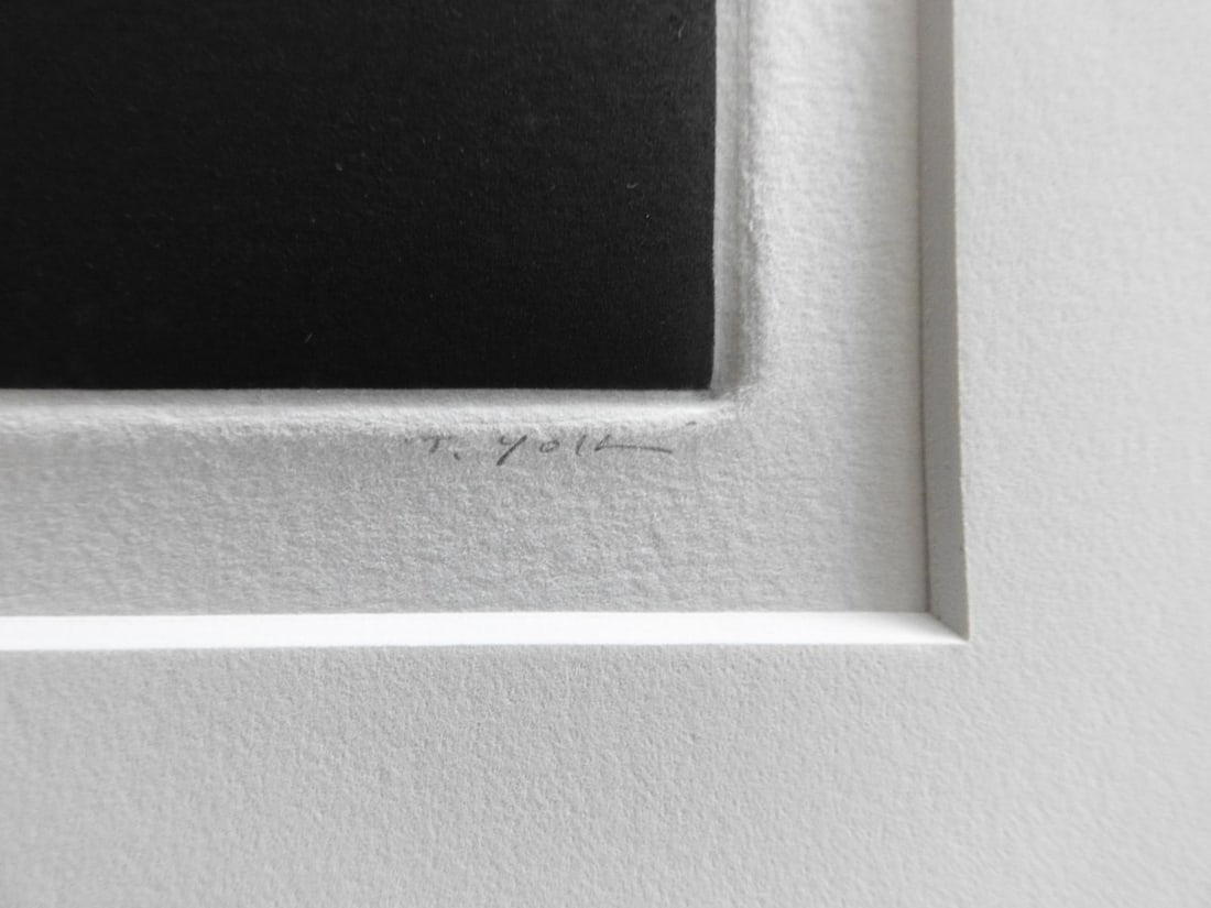 Late 20th Century Tomoe Yokoi Green Apples Still Life Mezzotint - 3