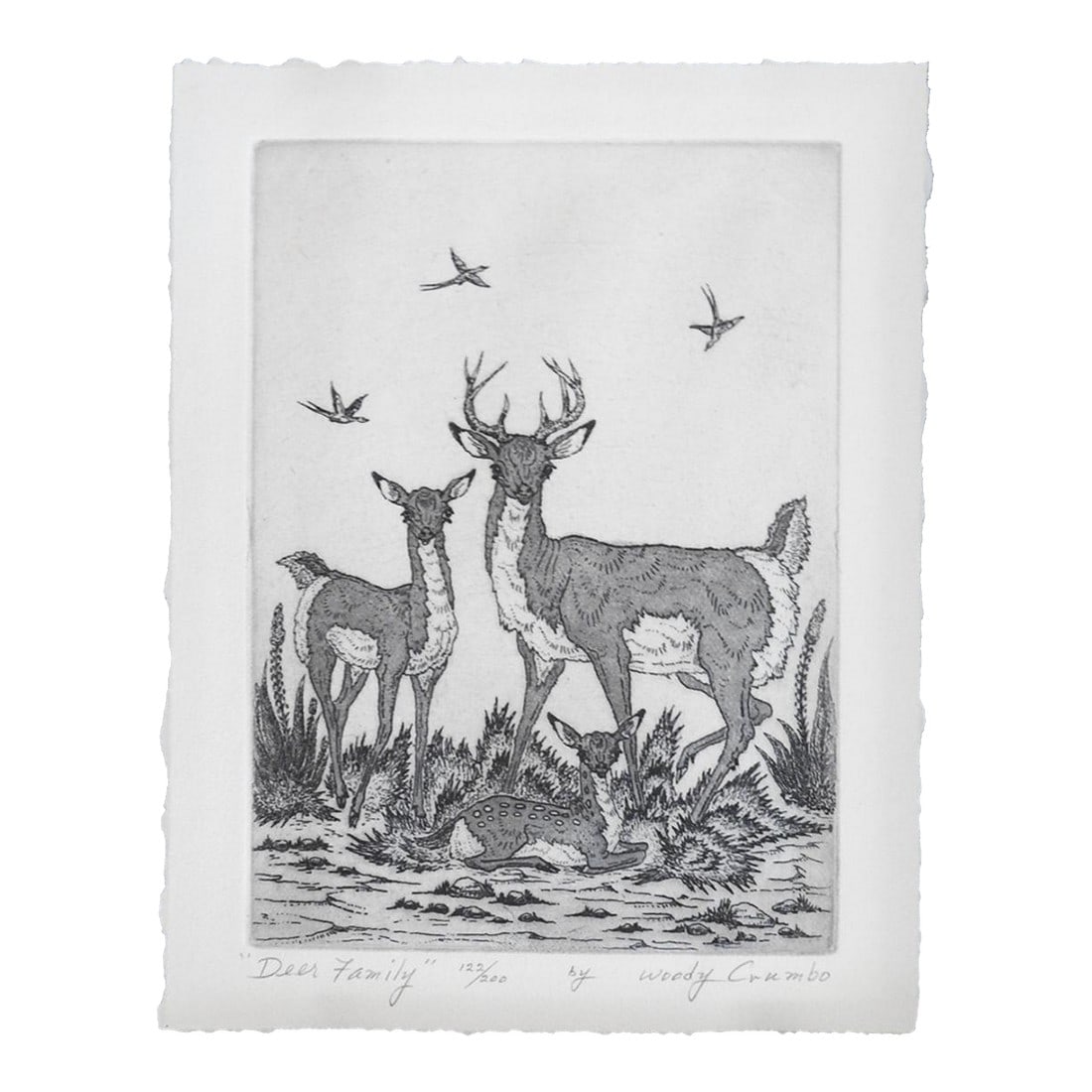 Mid 20th Century Woody Crumbo Deer Family Etching: Mid 20th century etching on paper by Woody Crumbo (1919-1989) Potawatomi Tribe, Oklahoma. Signed, titled Deer Family and numbered 122/200 in pencil along lower margin. Unframed, displayed floating