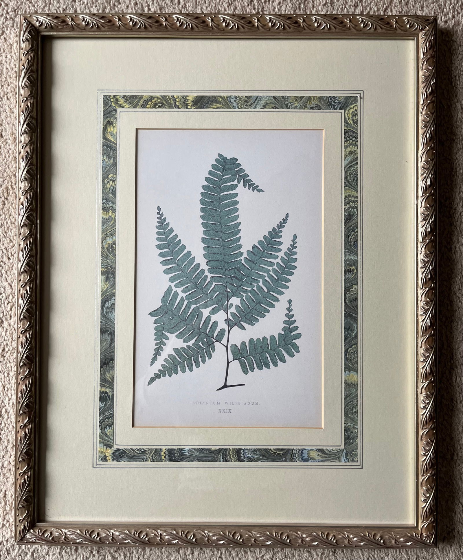 Custom Framed Antique Botanical Fern Prints-Set of 3 - 3