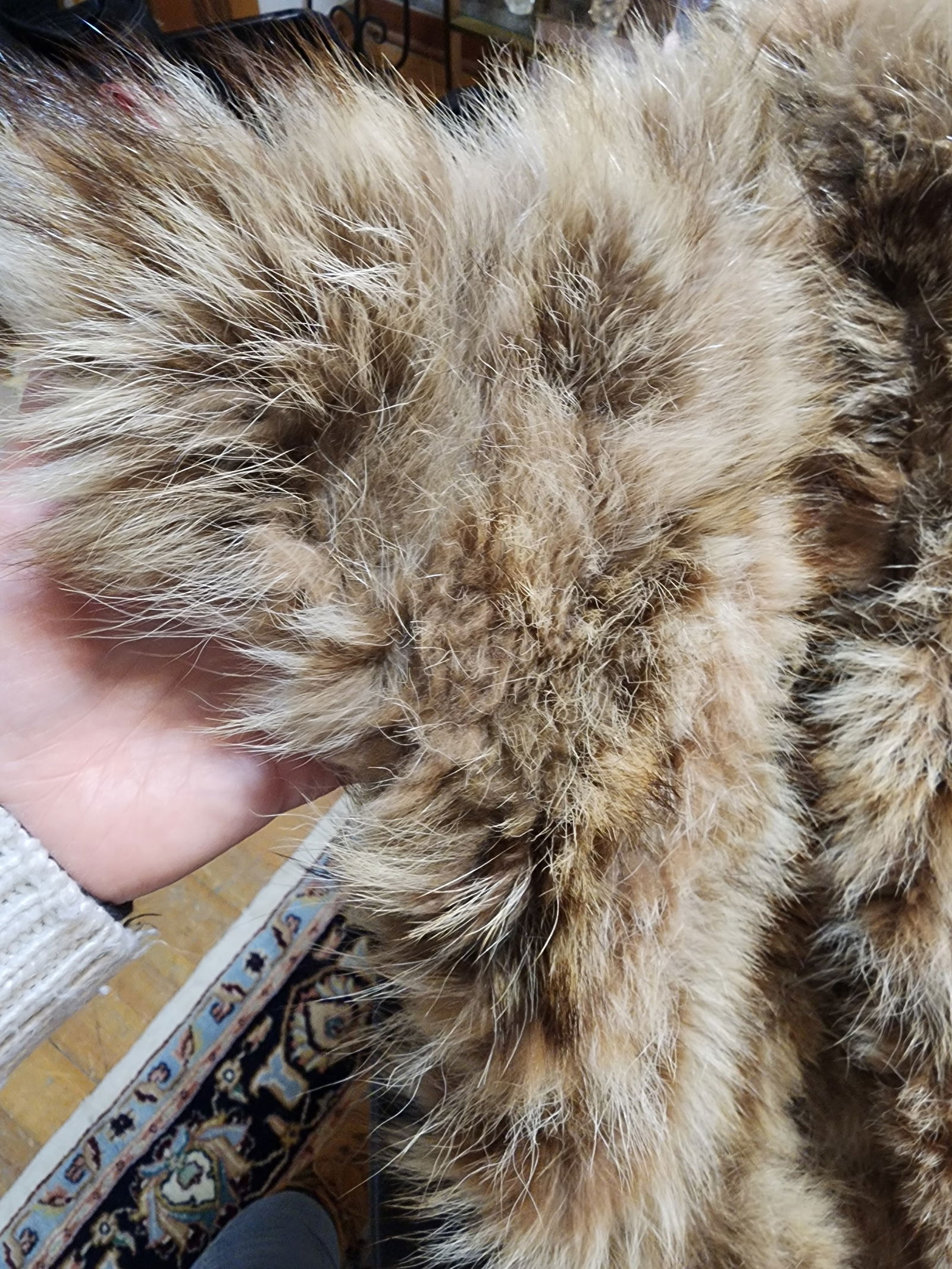 Fabulous Coyote Fur Throw - 2