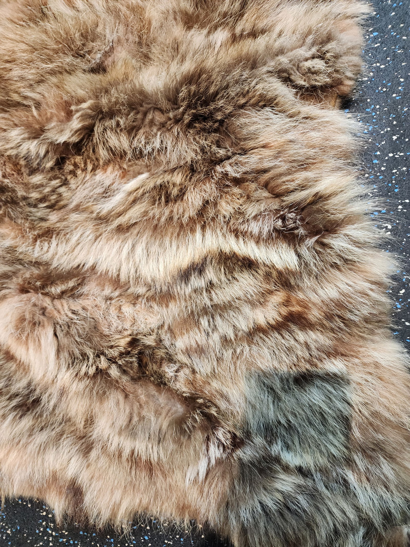 Fabulous Coyote Fur Throw - 5