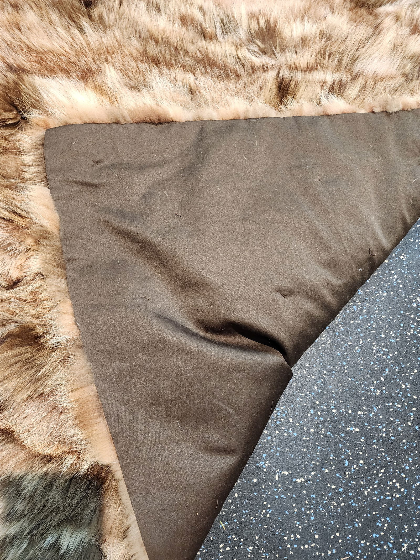 Fabulous Coyote Fur Throw - 6