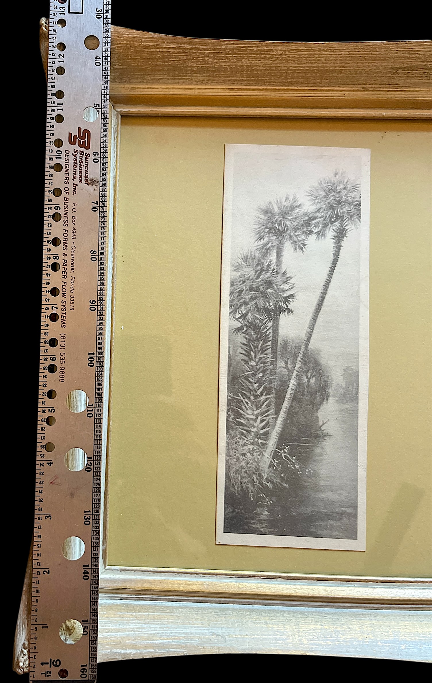 Pair of 1940s Old Florida Black & White Photographs in White Washed Pickled Gilt Frames and Ochre Ma - 8