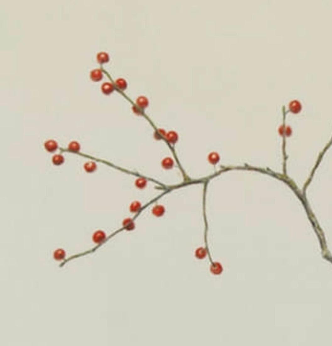 Scarlet Interval - Watercolor - 2