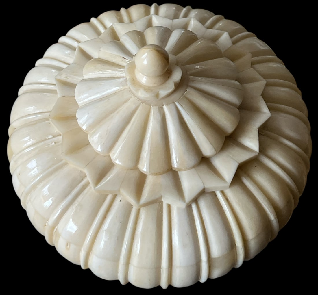 Carved Bone Lidded Snuff Box | Neoclassical Ribbed Form | 19th–Early 20th C. - 2