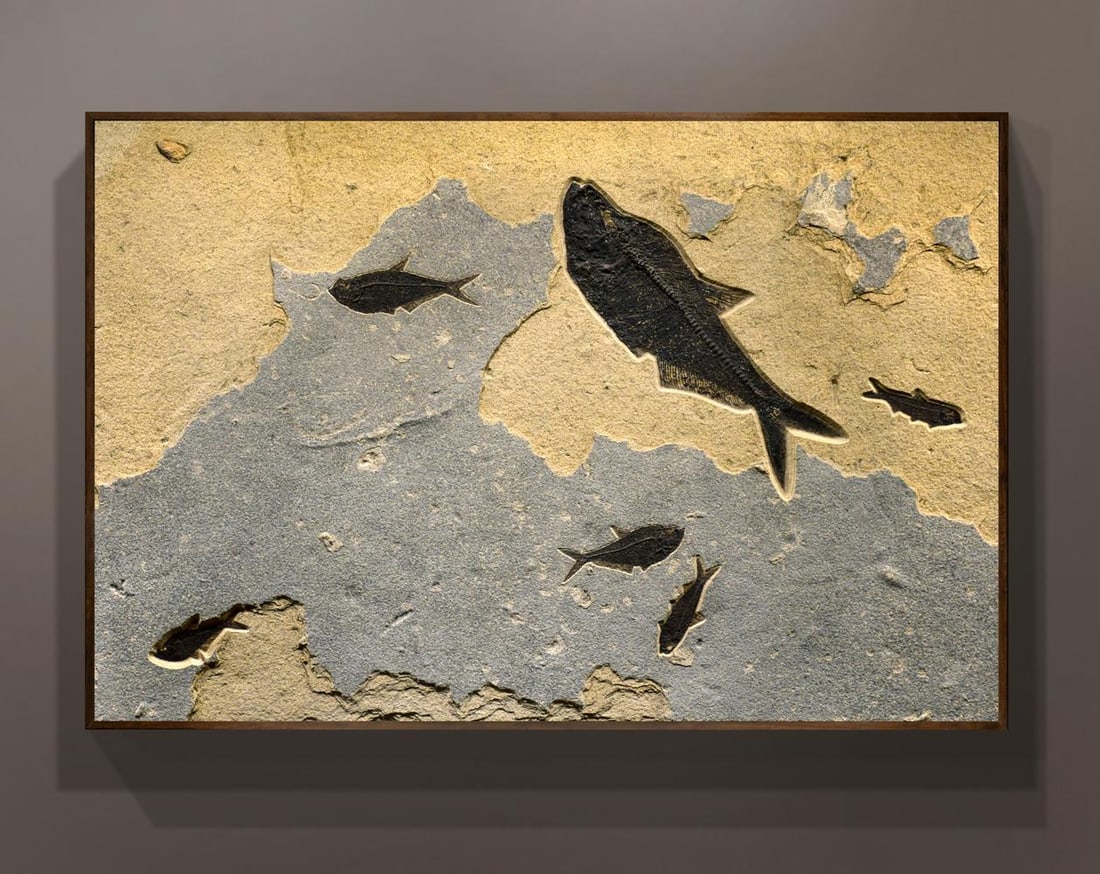 Fossil Fish Mural 8460am - 4