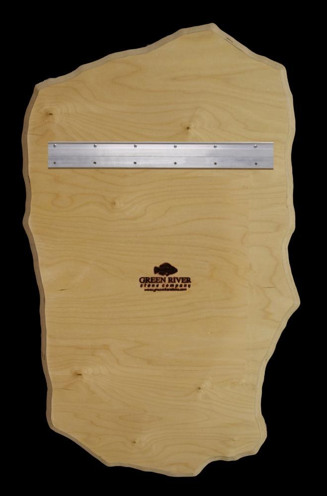 Fossil Fish Mural 9433am - 5