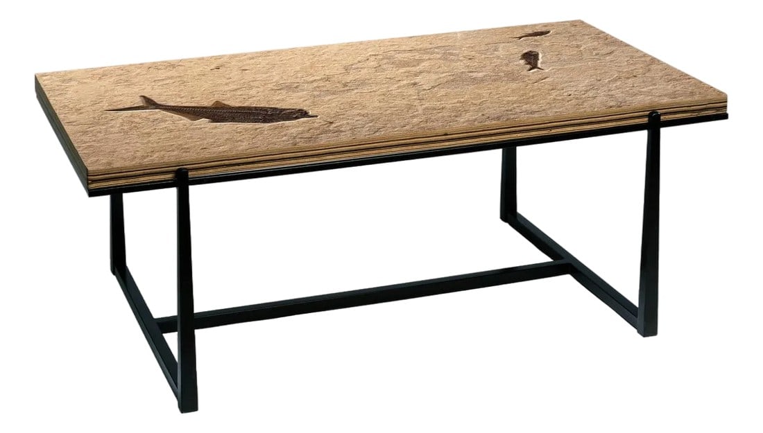 Fossil Coffee Table 5333t (1 of 4)