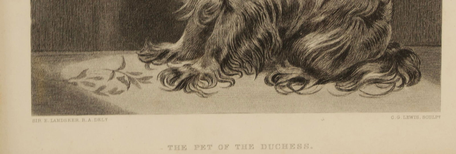 19th-Century Engraving After Sir Edwin Landseer, the Pet of the Duchess - 4