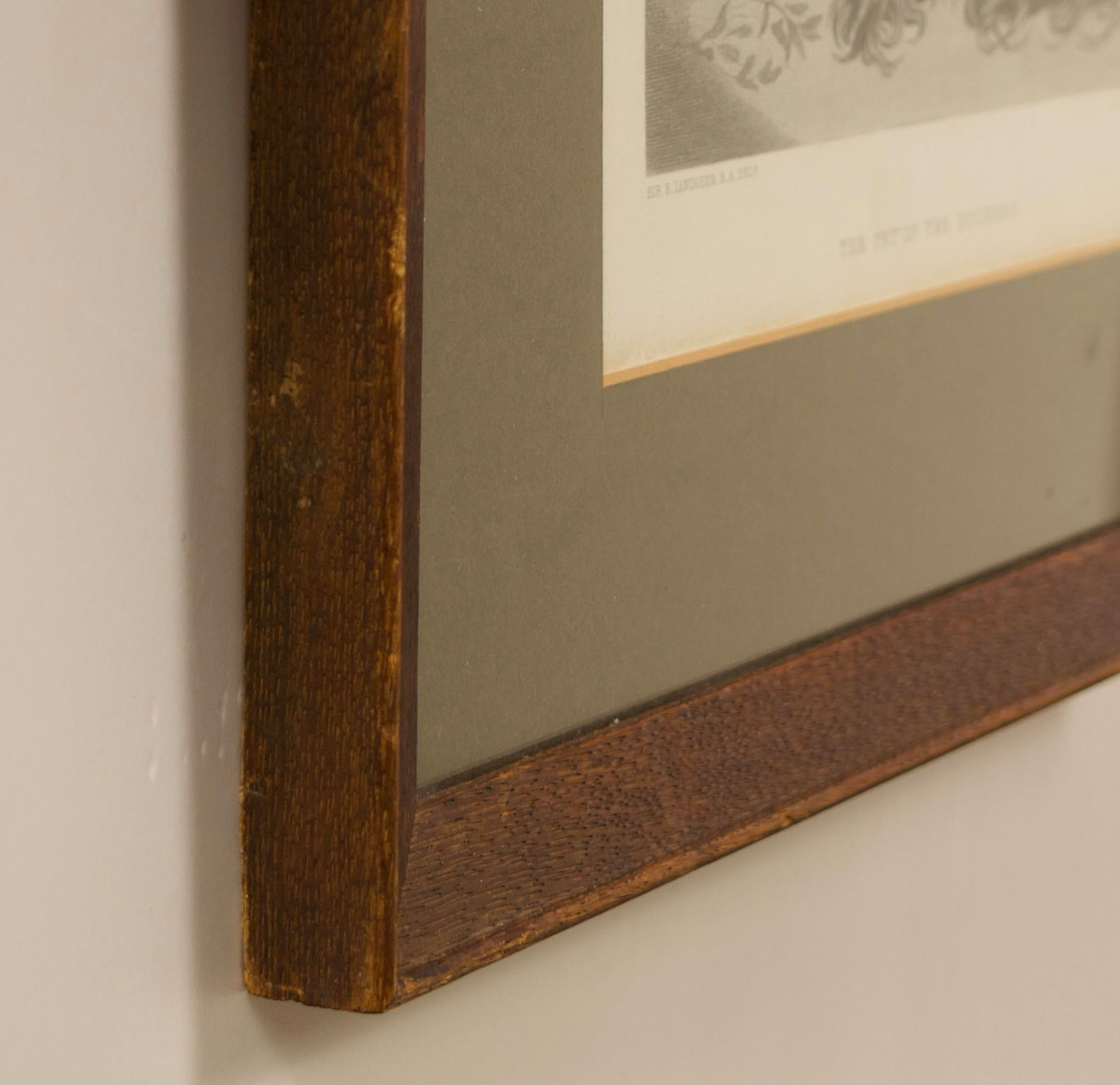 19th-Century Engraving After Sir Edwin Landseer, the Pet of the Duchess - 5