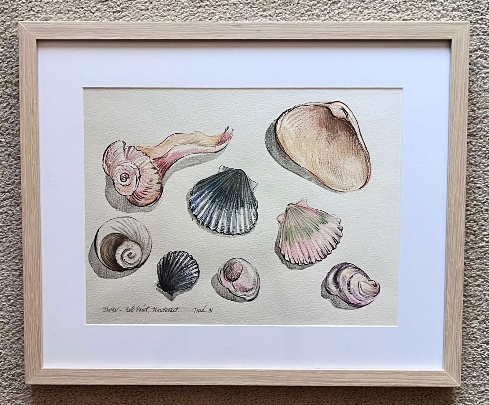 Nantucket Shells Watercolor Prints-Framed, Signed-1991-Set 2 - 2