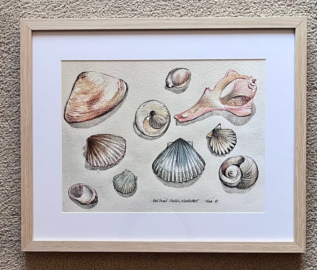Nantucket Shells Watercolor Prints-Framed, Signed-1991-Set 2 - 3