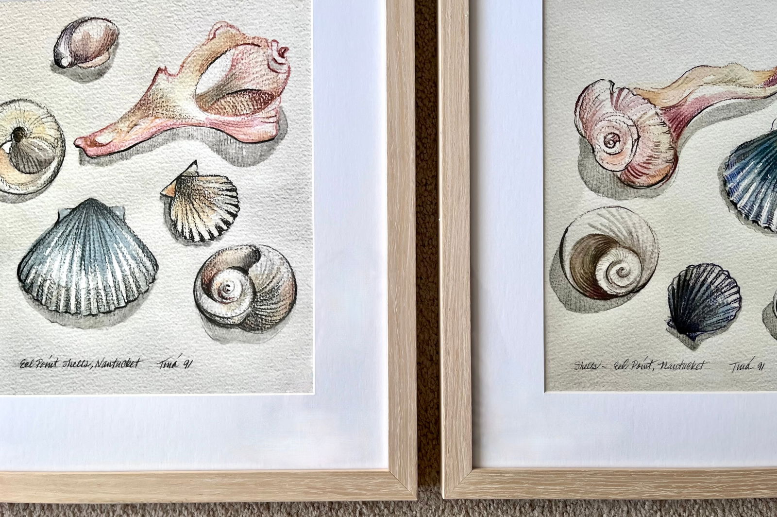 Nantucket Shells Watercolor Prints-Framed, Signed-1991-Set 2 - 4