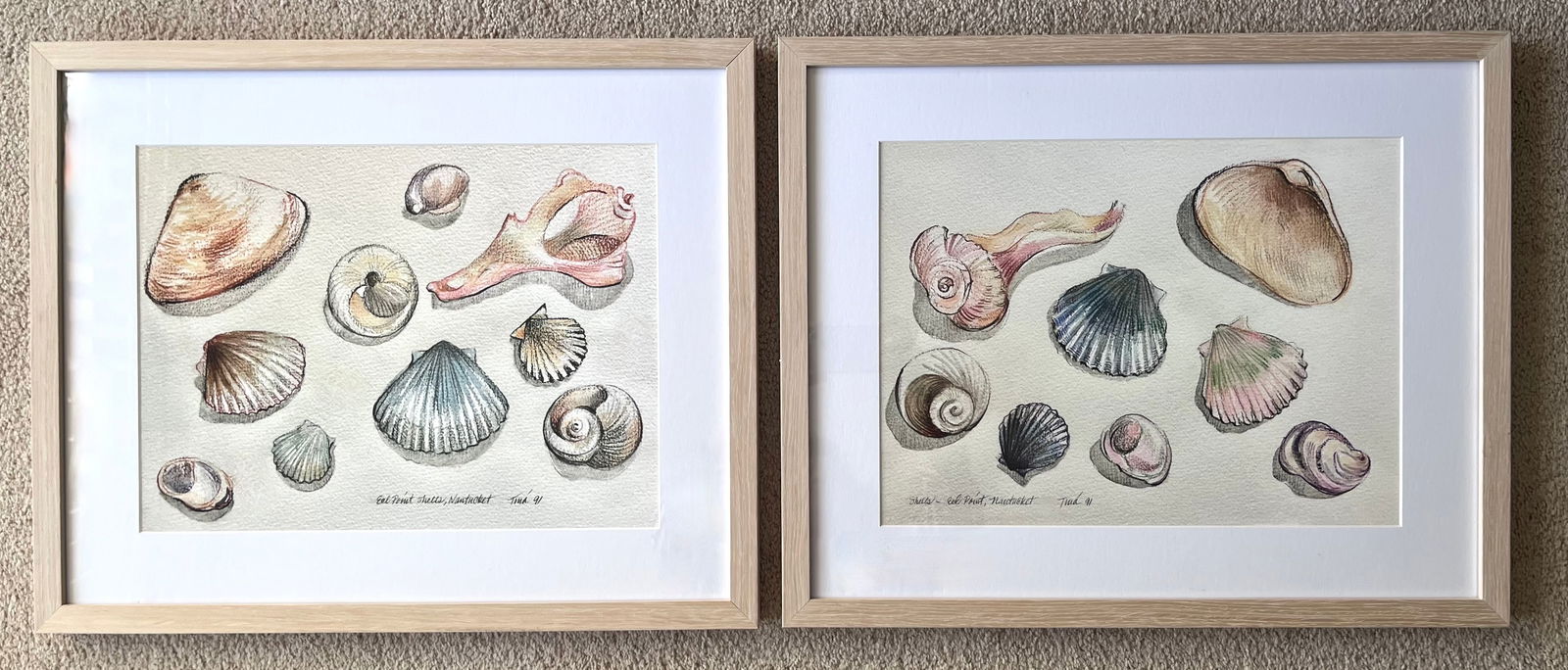 Nantucket Shells Watercolor Prints-Framed, Signed-1991-Set 2 - 5