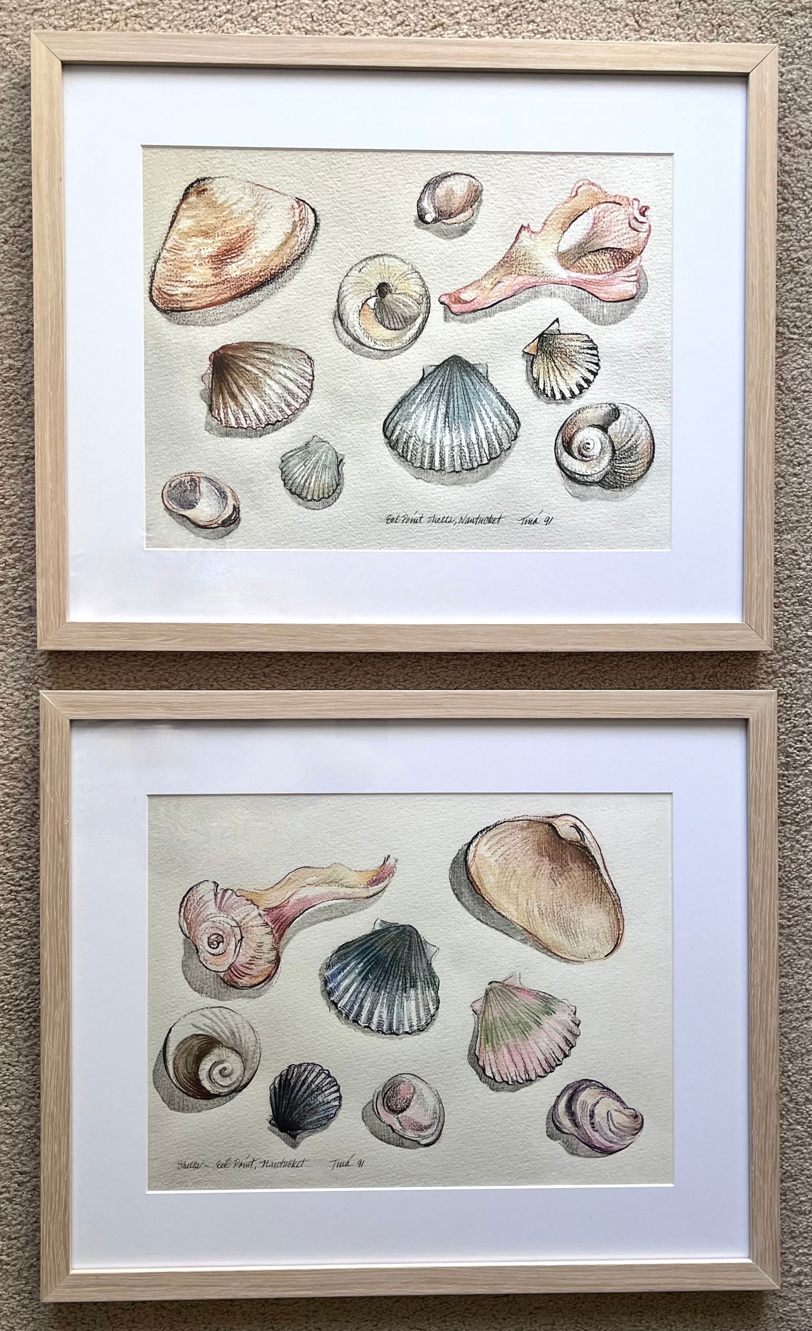 Nantucket Shells Watercolor Prints-Framed, Signed-1991-Set 2 - 6