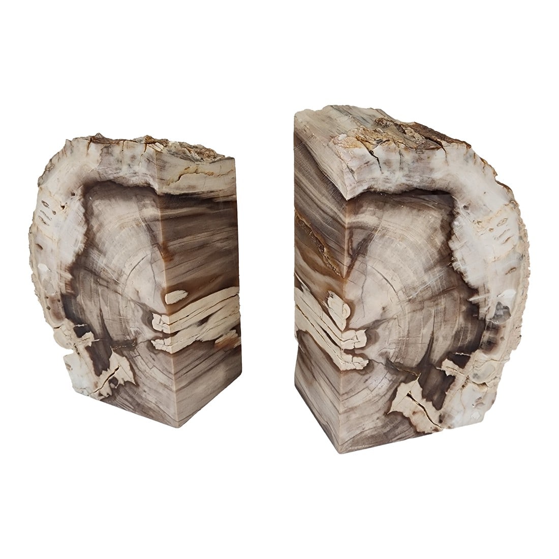 1970s Set of Mid Century Modern Petrified Wood Bookends: This beautiful pair came from a home filled with amazing mid Century Modern treasures. They will be a great addition to you bookcase. As always, your Home Inspirations purchase comes with Free