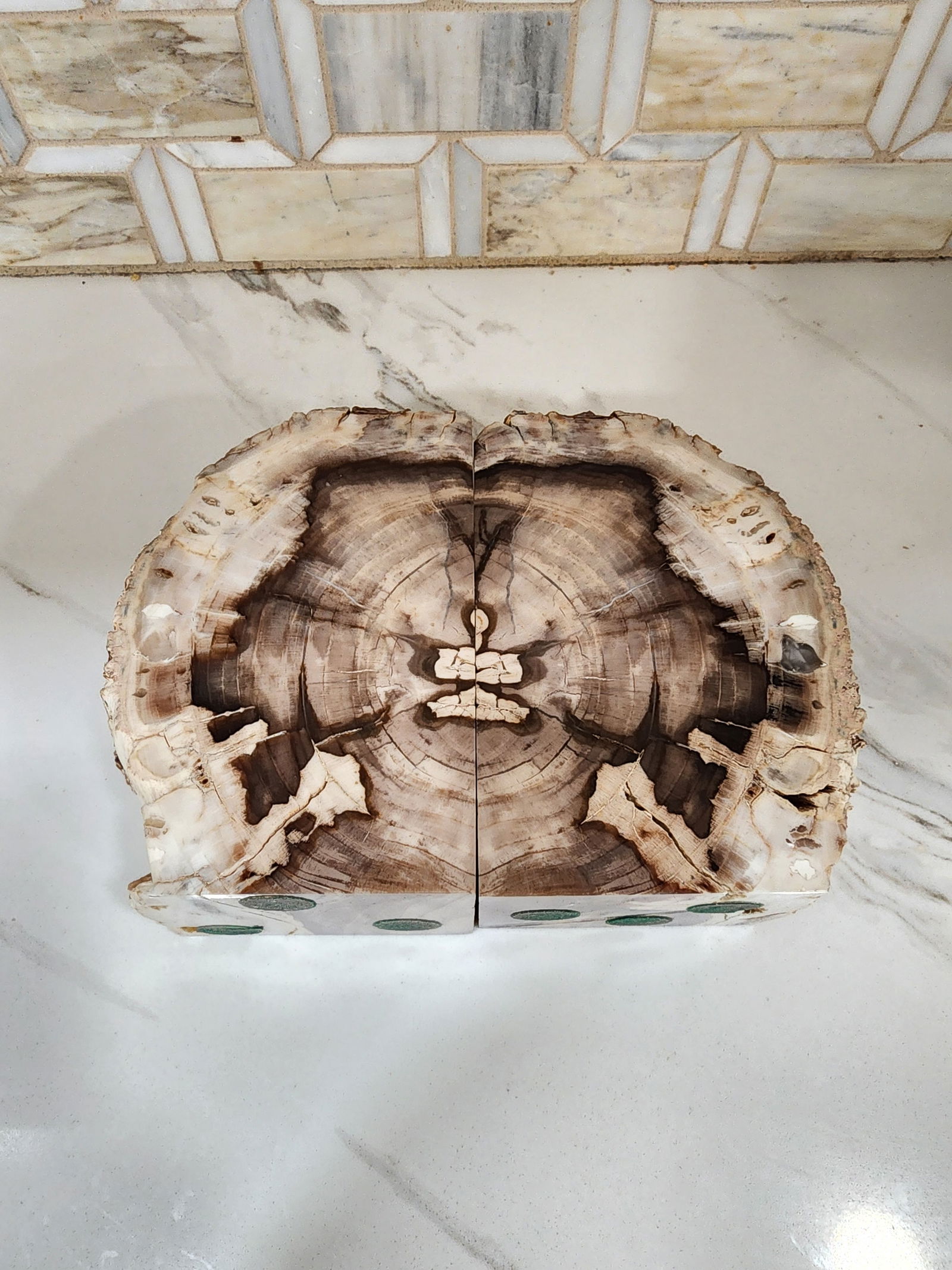 1970s Set of Mid Century Modern Petrified Wood Bookends - 2