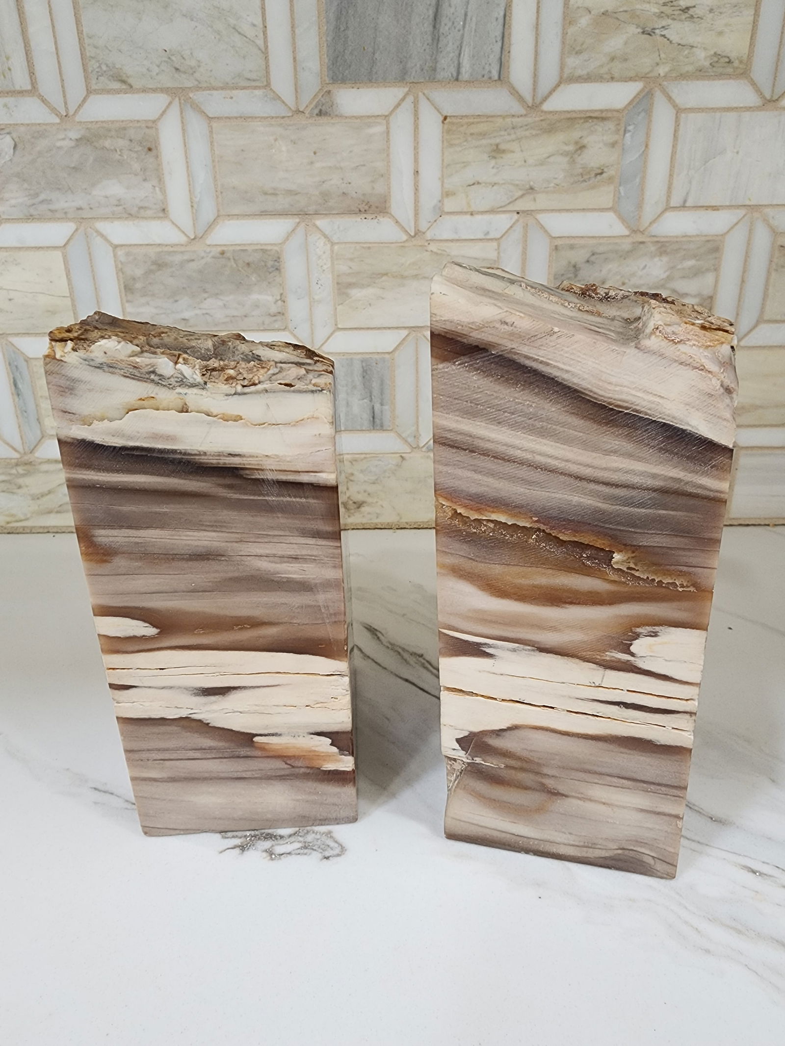 1970s Set of Mid Century Modern Petrified Wood Bookends - 3