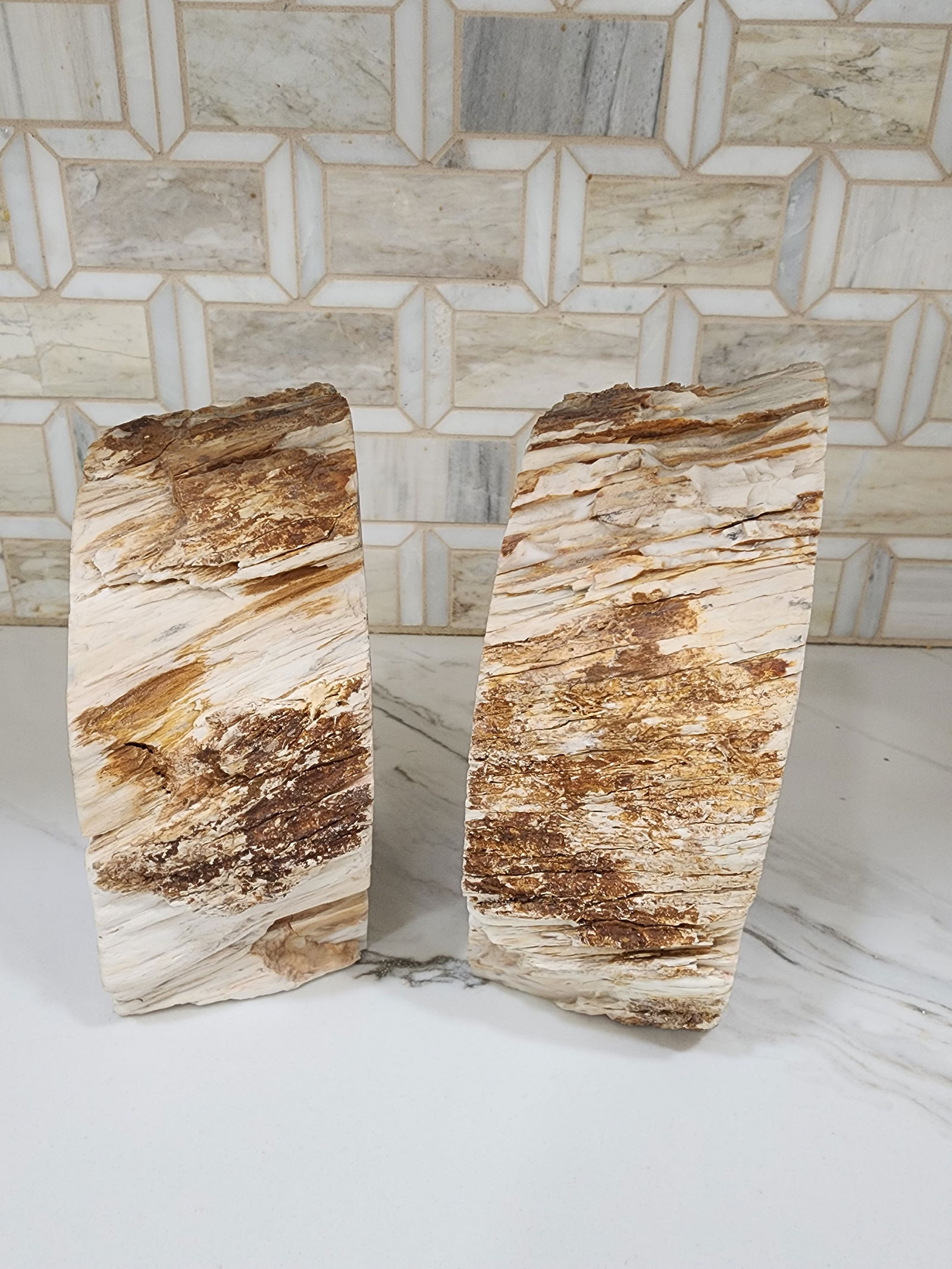 1970s Set of Mid Century Modern Petrified Wood Bookends - 4