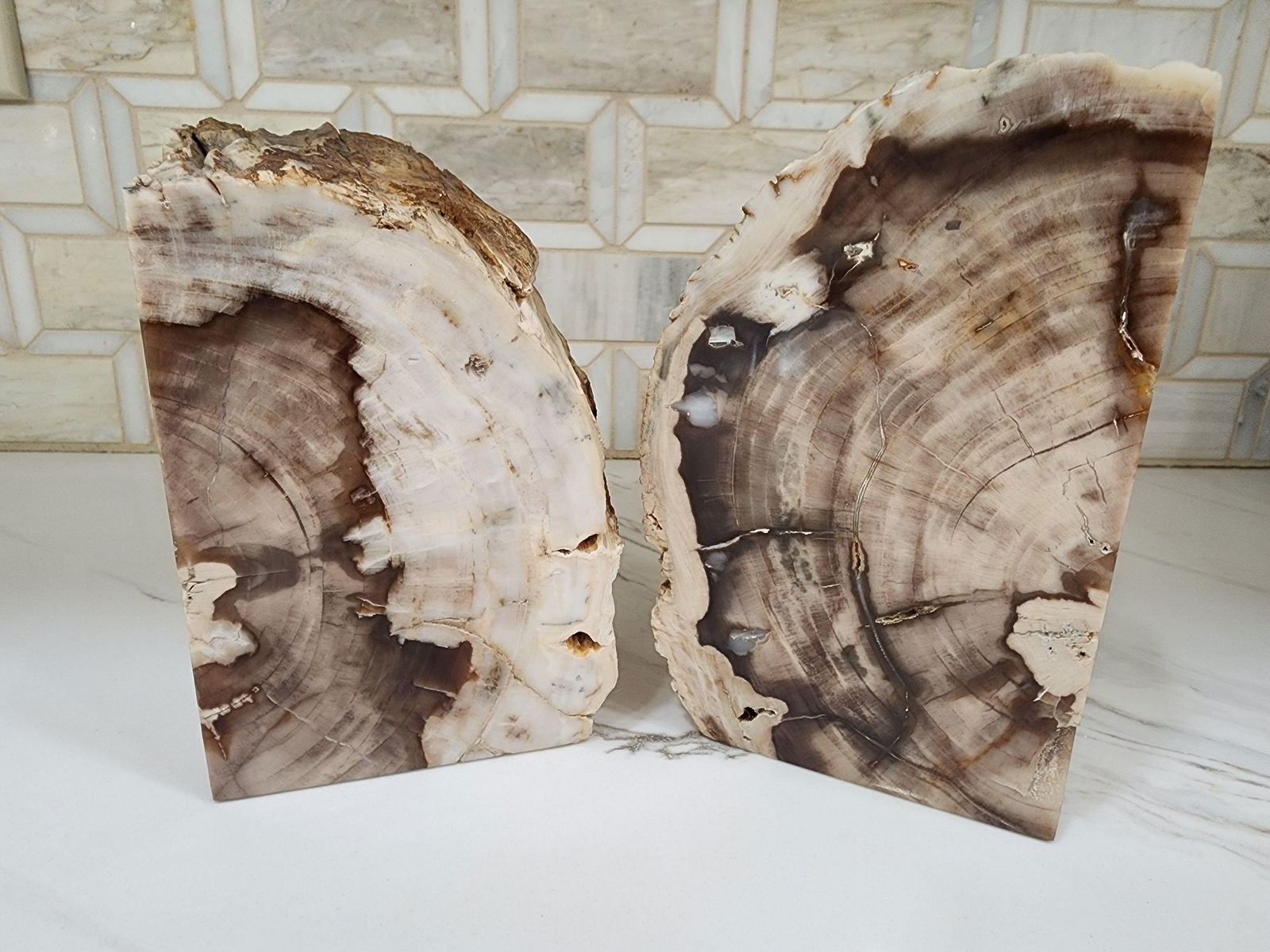 1970s Set of Mid Century Modern Petrified Wood Bookends - 5