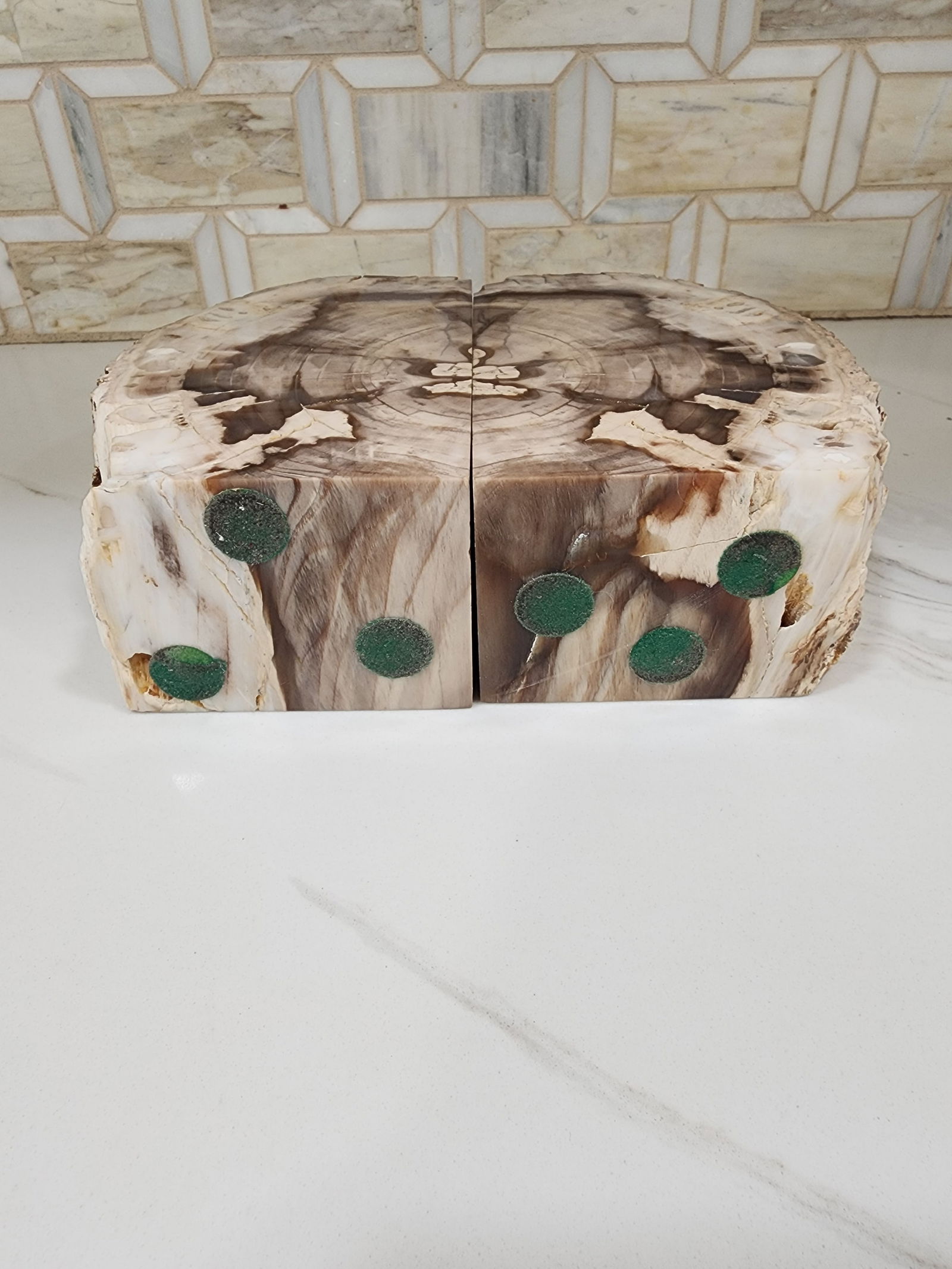 1970s Set of Mid Century Modern Petrified Wood Bookends - 6