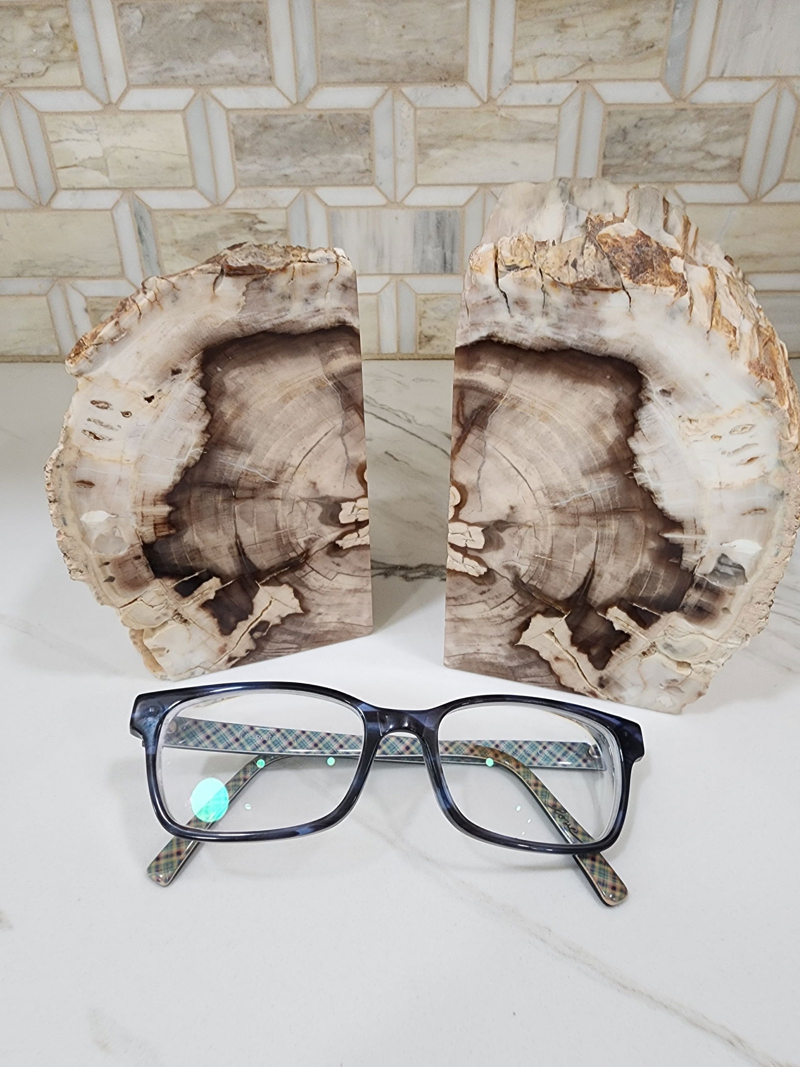 1970s Set of Mid Century Modern Petrified Wood Bookends - 7