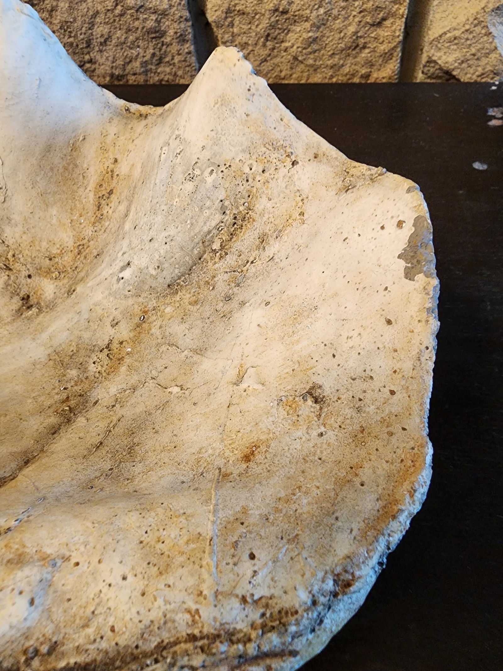 Rare and Fabulous Antique Metal Swan Bird Feeder. - 7