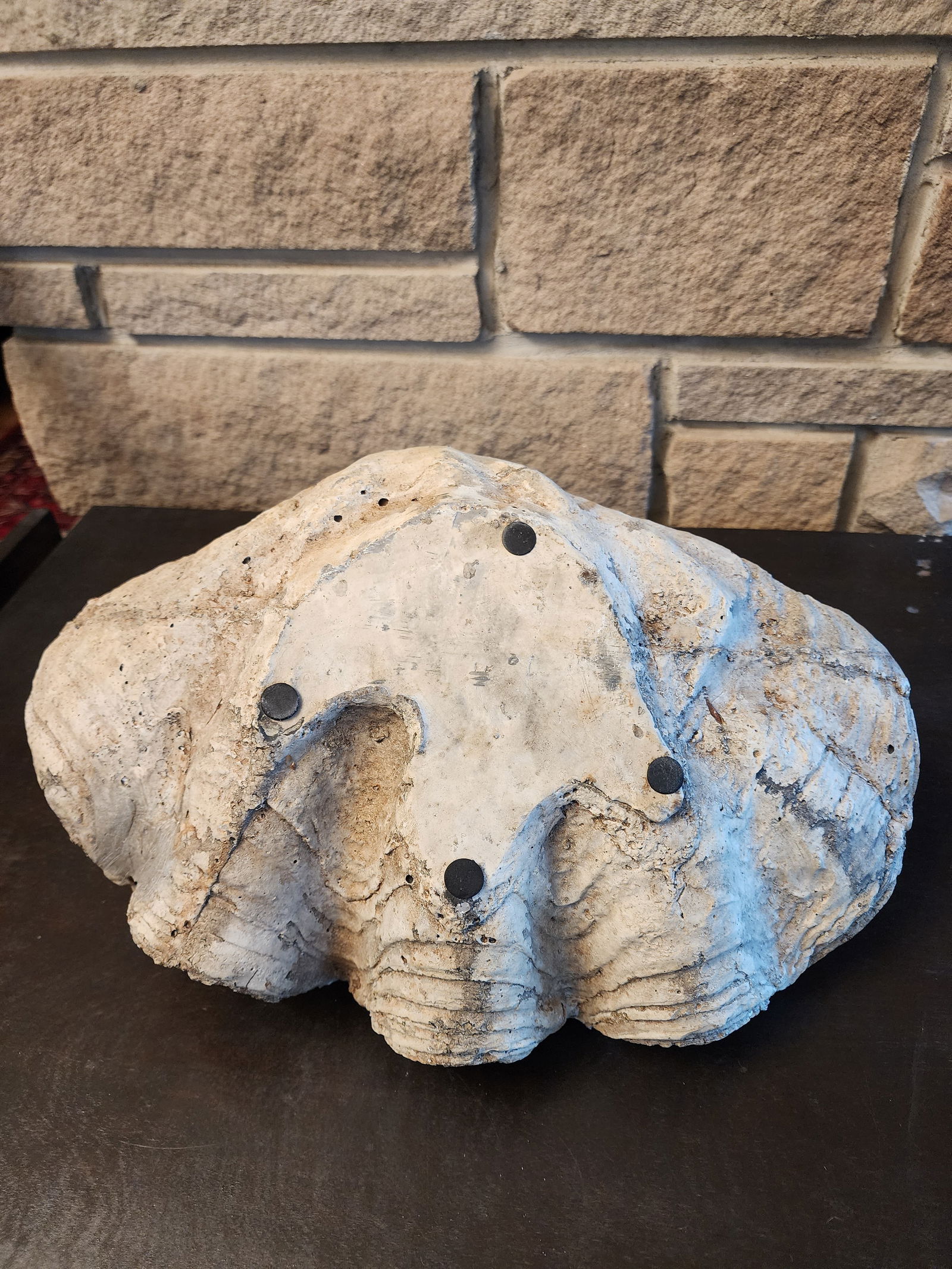 Rare and Fabulous Antique Metal Swan Bird Feeder. - 8