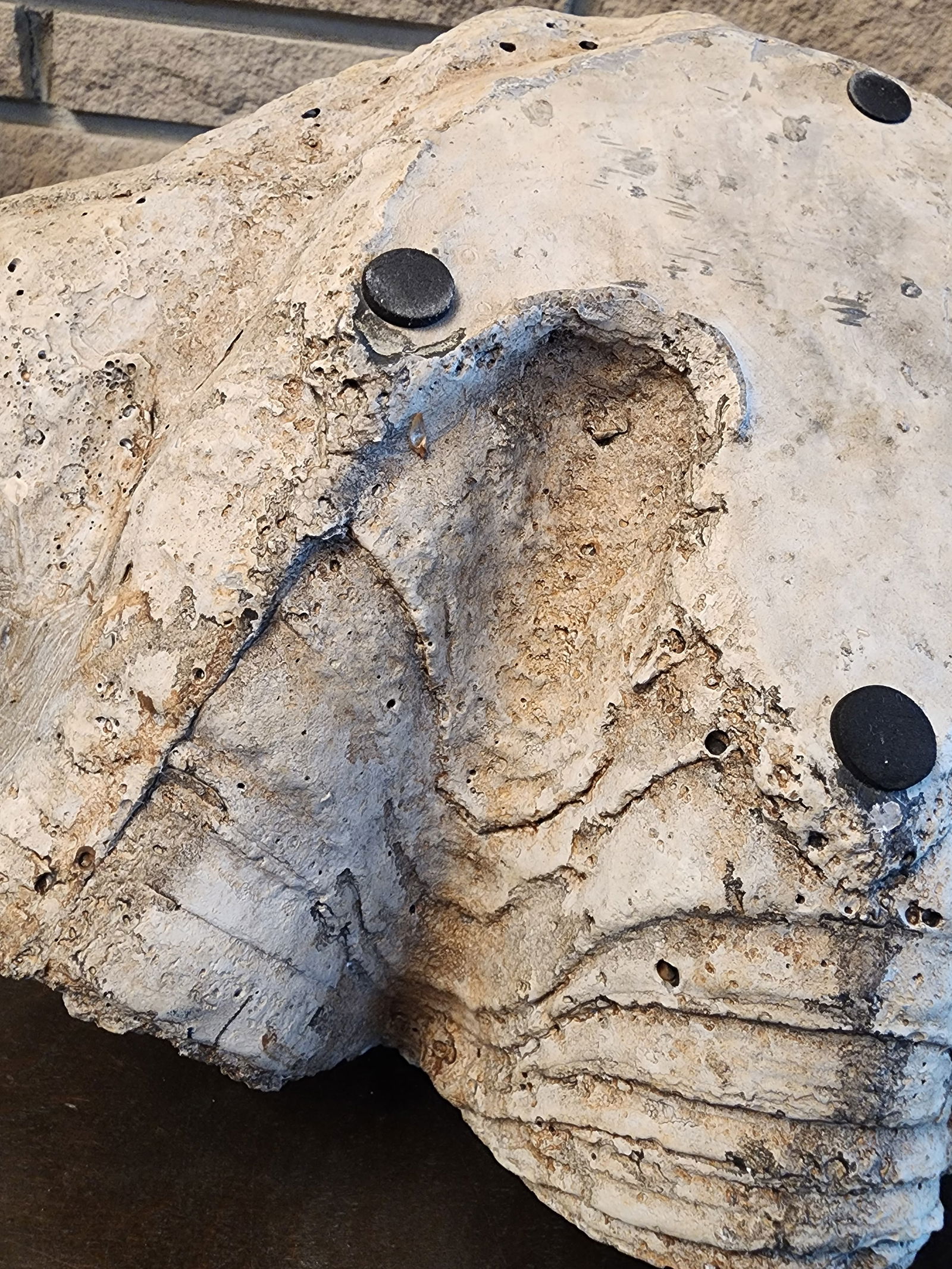 Rare and Fabulous Antique Metal Swan Bird Feeder. - 9