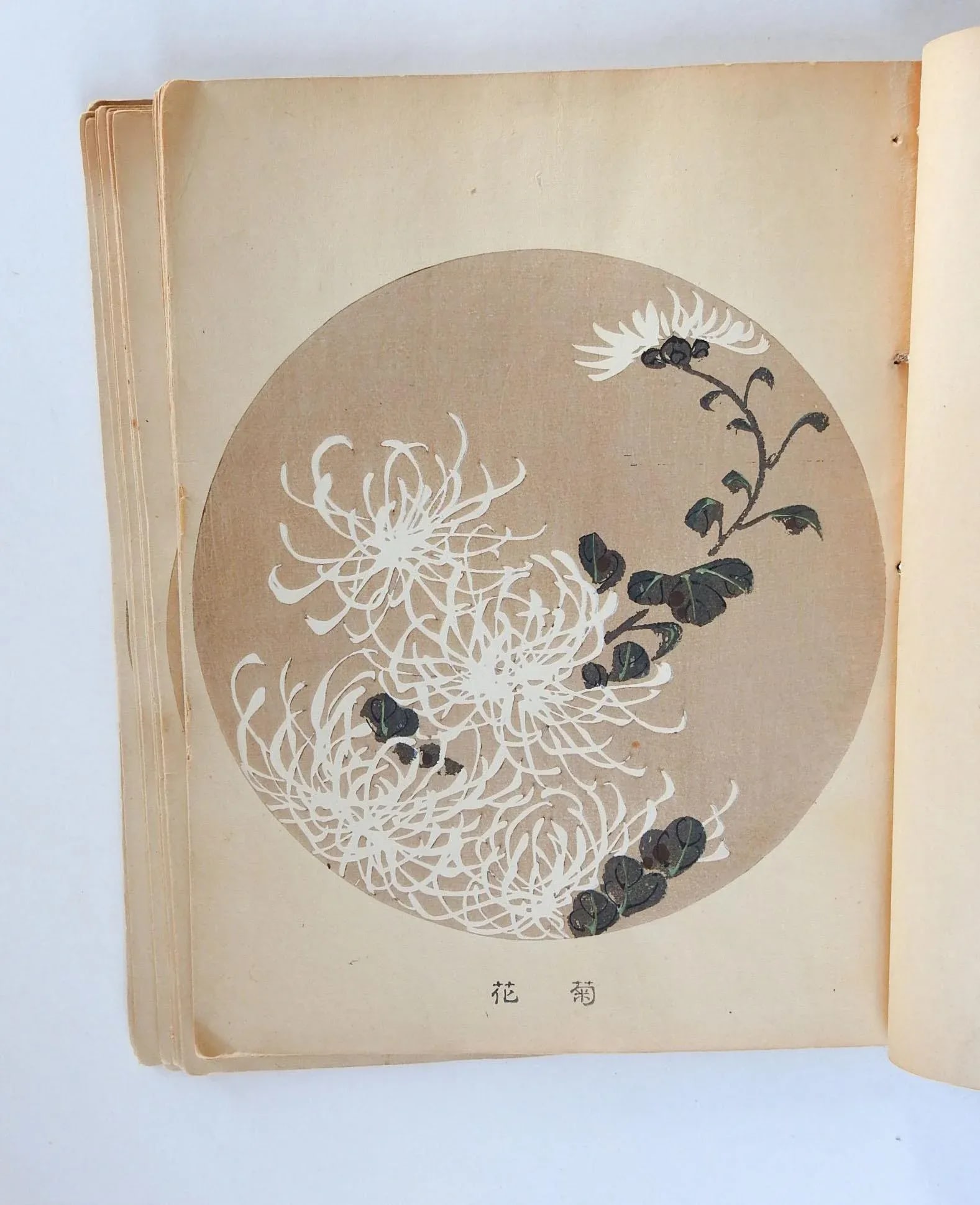 Vintage Bound Portfolio Japanese Block Prints - 10