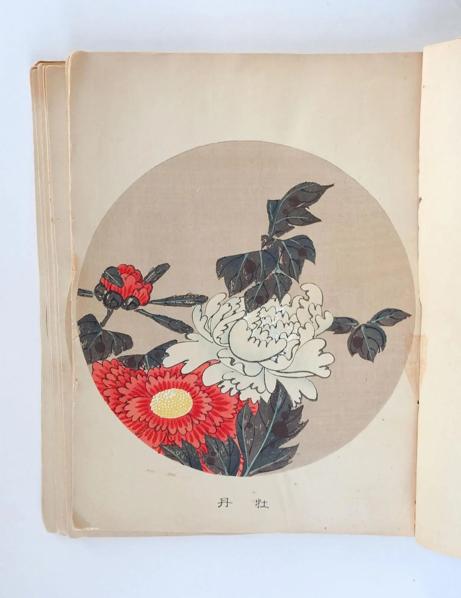 Vintage Bound Portfolio Japanese Block Prints - 11