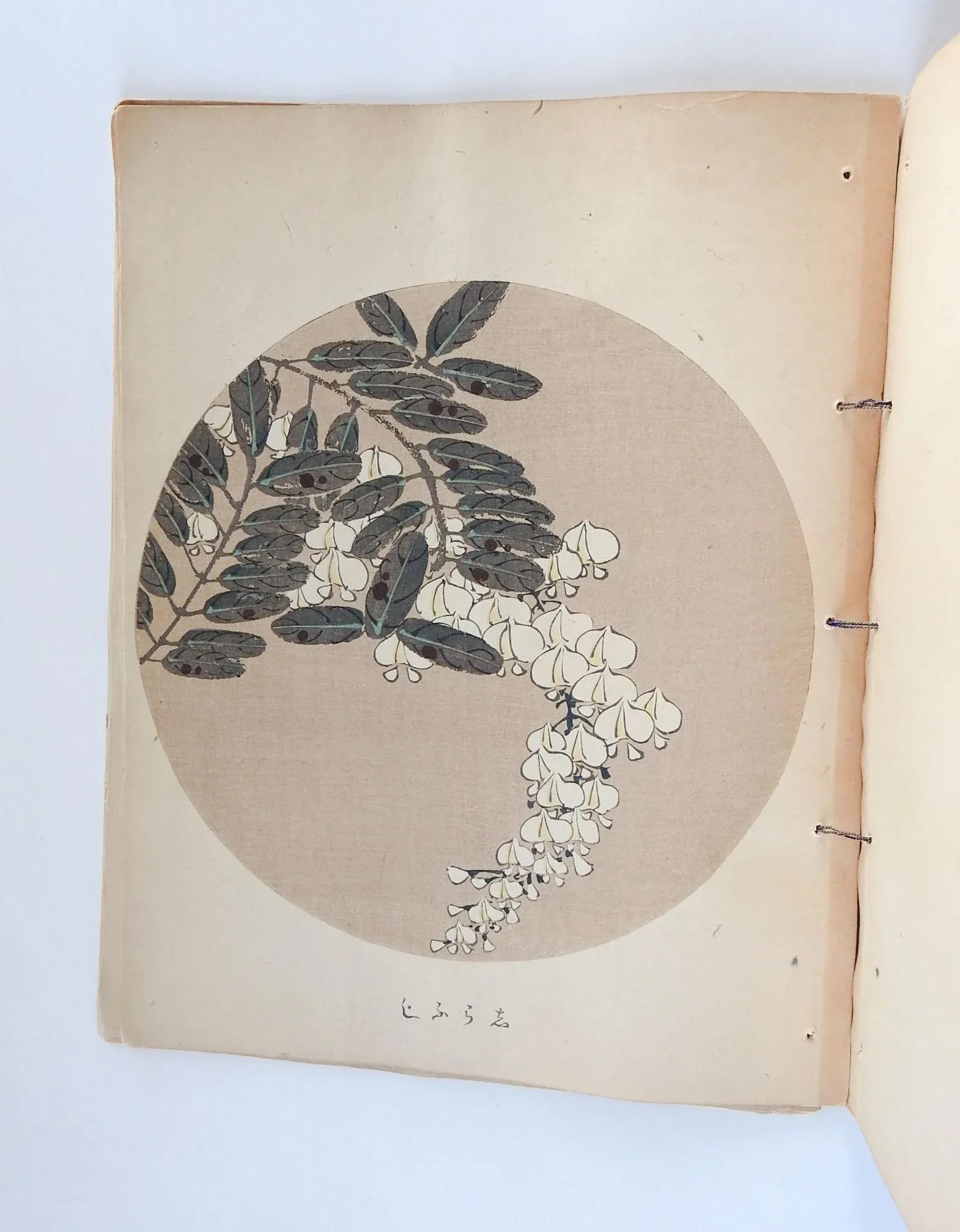 Vintage Bound Portfolio Japanese Block Prints - 5