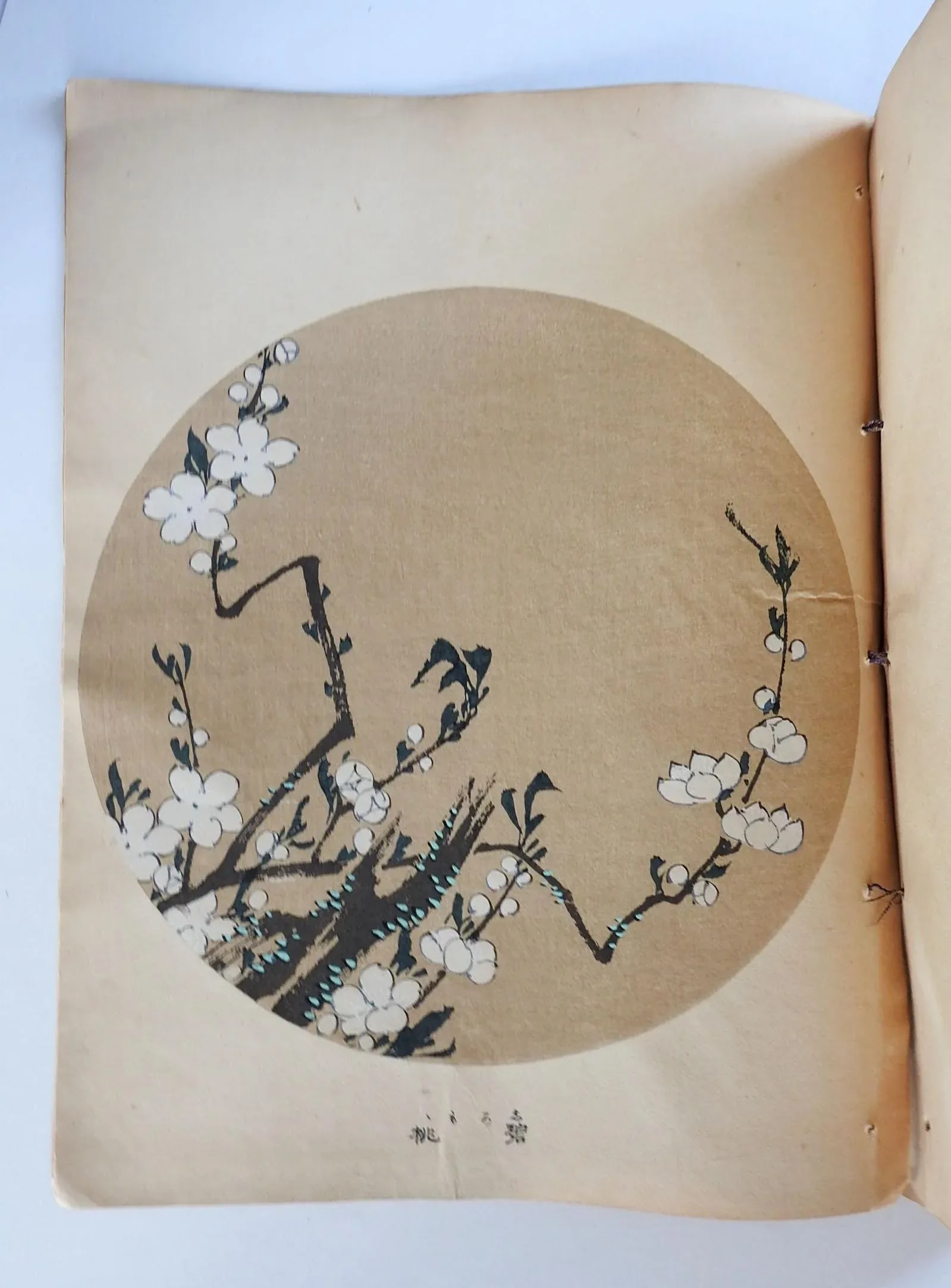 Vintage Bound Portfolio Japanese Block Prints - 7
