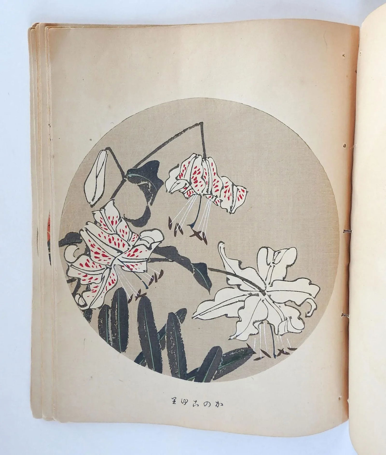 Vintage Bound Portfolio Japanese Block Prints - 8