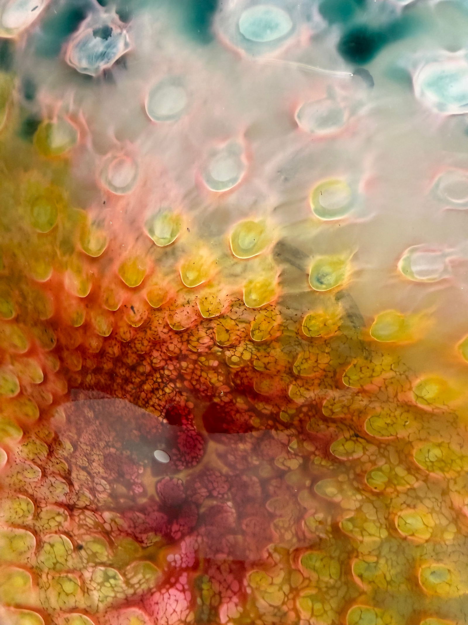 Lucy Chamberlain 22" Signed Art Glass Wall Sculpture - 4