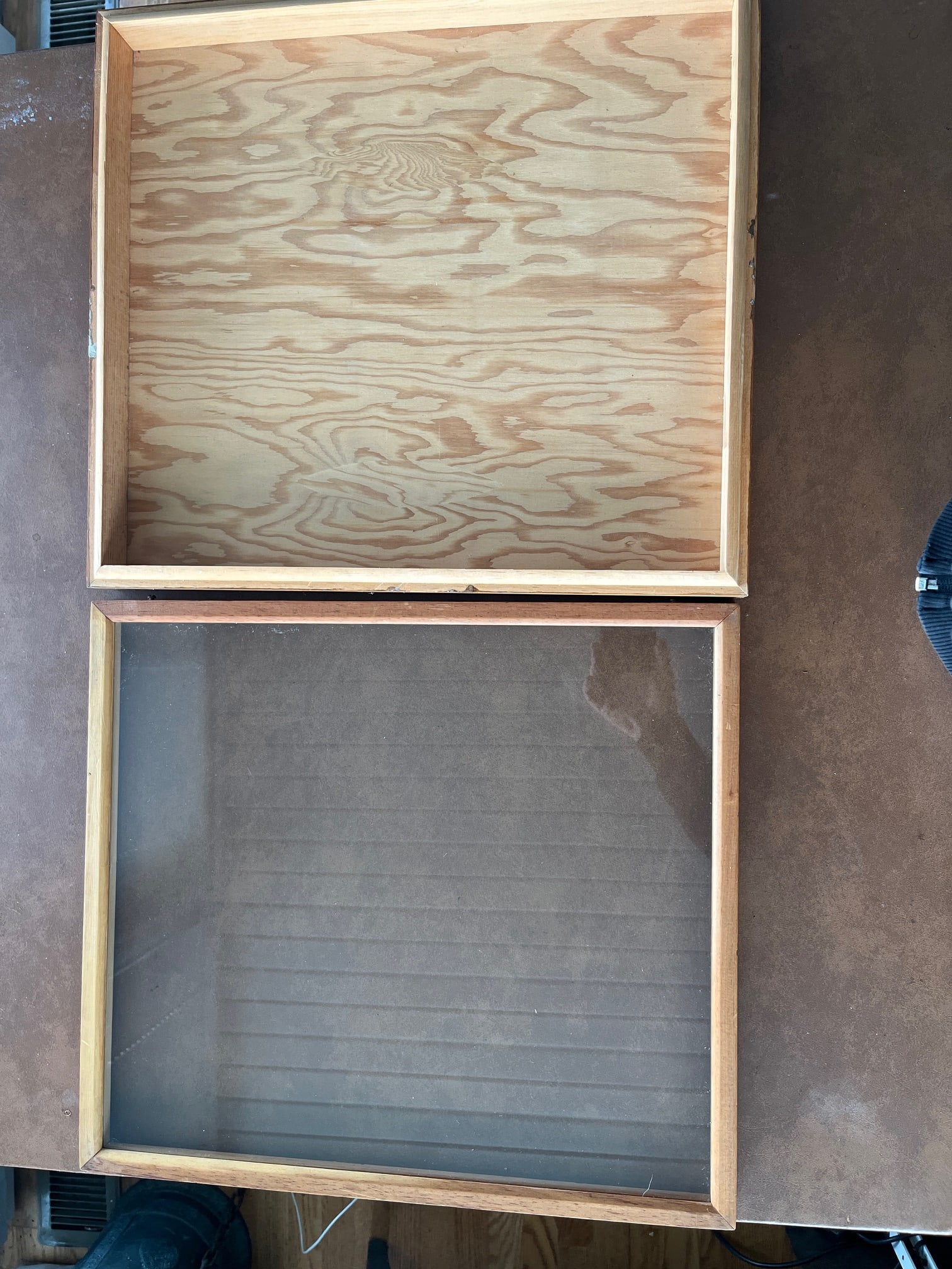 Set of 6 Vintage Uc Berkeley Museum Entomology Specimen Cases – Cis Stamped - 11