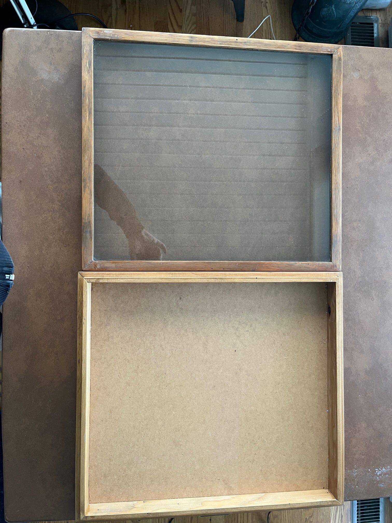 Set of 6 Vintage Uc Berkeley Museum Entomology Specimen Cases – Cis Stamped - 9