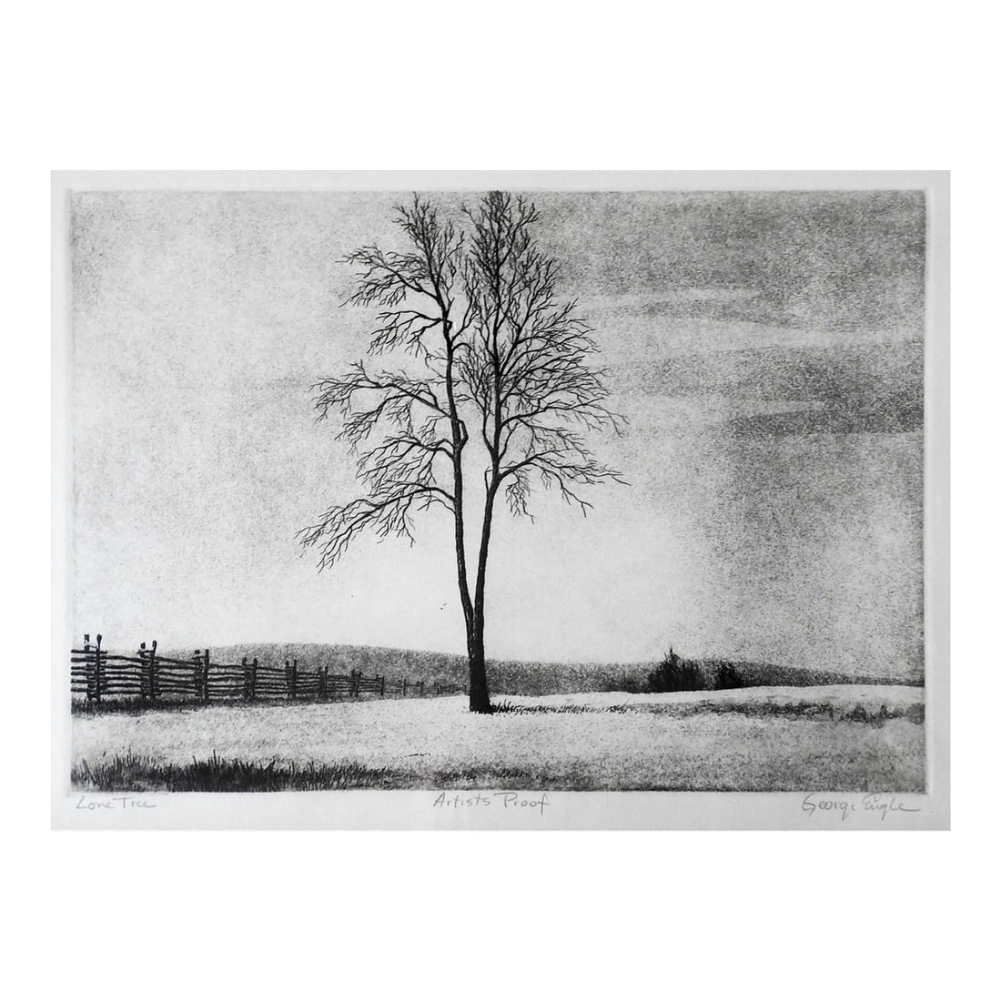 Vintage Mid Century Lone Tree Landscape Etching: Vintage mid 20th century etching on paper by George Engle (1932-1983) Indiana. Signed, titled Lone Tree and numbered Artist Proof in pencil along lower margin. Unframed, displayed in mat and backing,