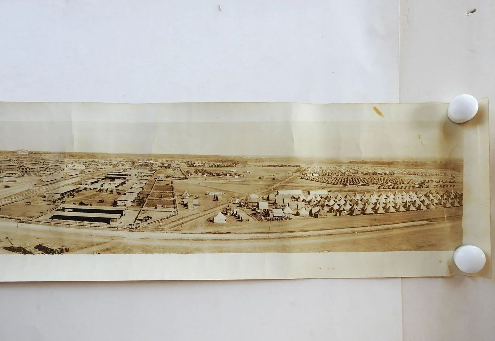 Antique 64" Eugene Goldbeck Panoramic Photo 1917 Camp Travis Wwi San Antonio - 2