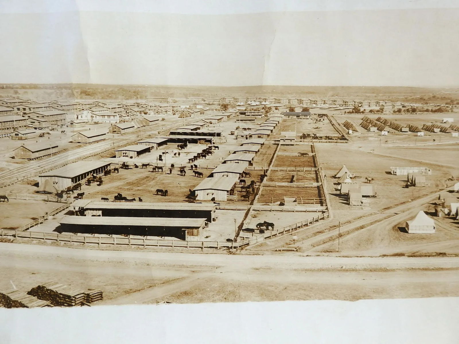 Antique 64" Eugene Goldbeck Panoramic Photo 1917 Camp Travis Wwi San Antonio - 5