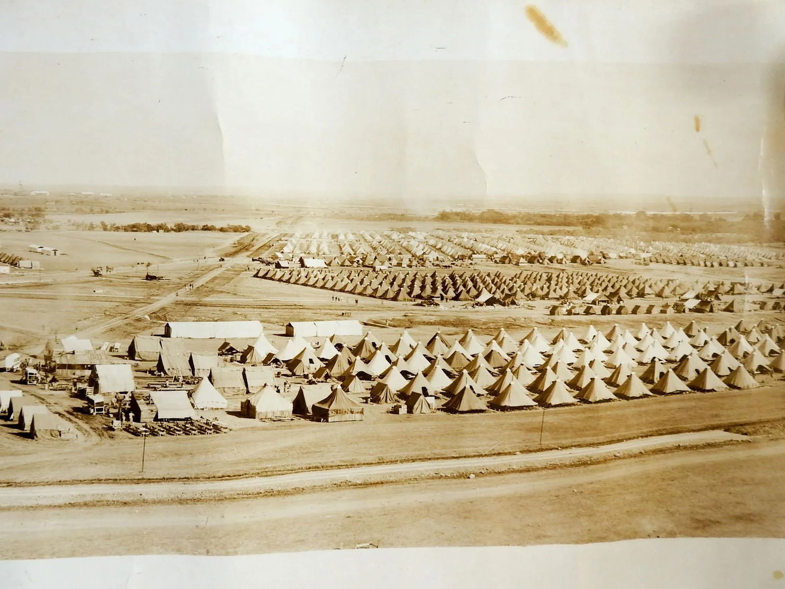 Antique 64" Eugene Goldbeck Panoramic Photo 1917 Camp Travis Wwi San Antonio - 6