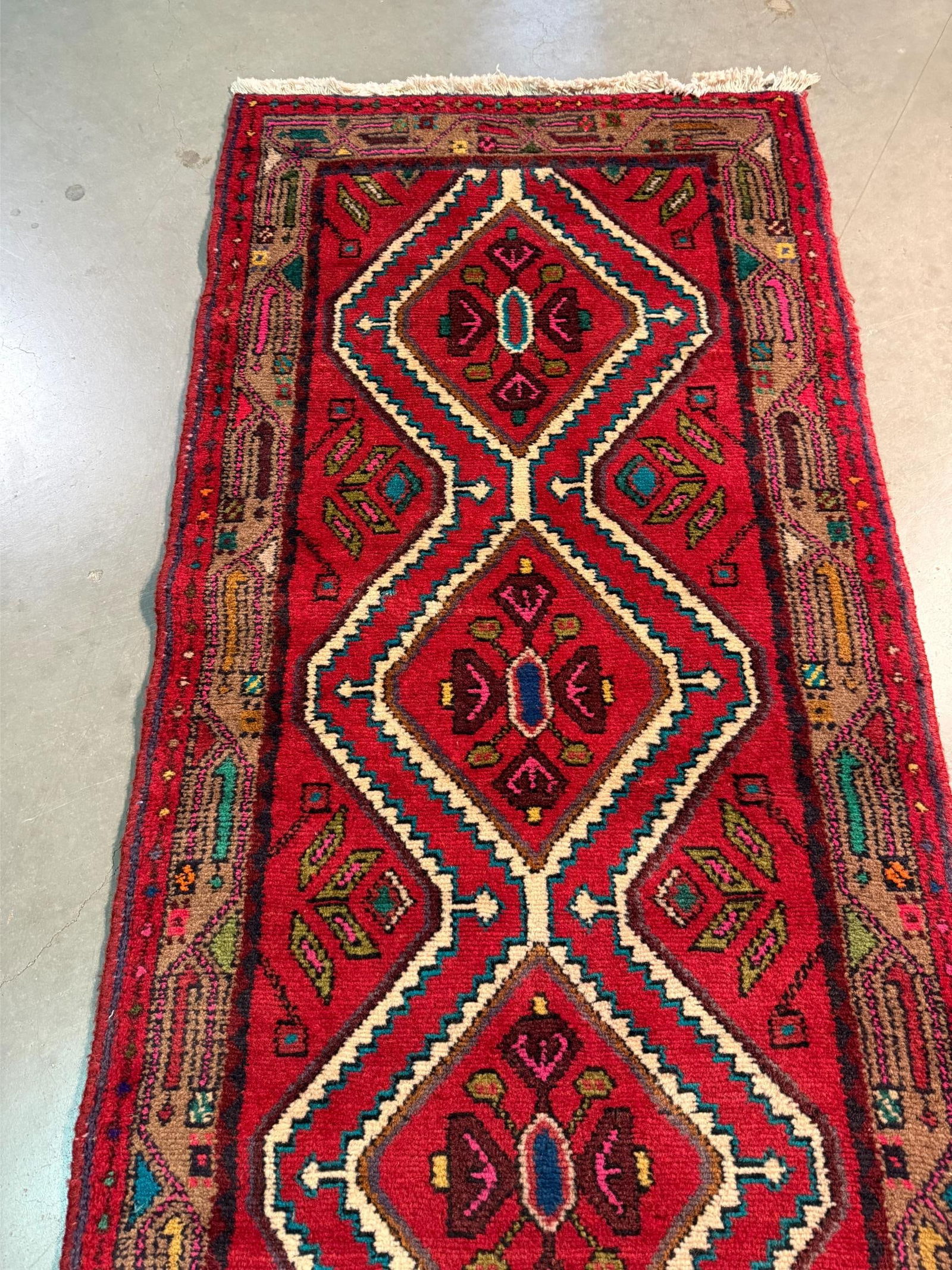 Magnificent Persian Runner 2.8x10 - 5