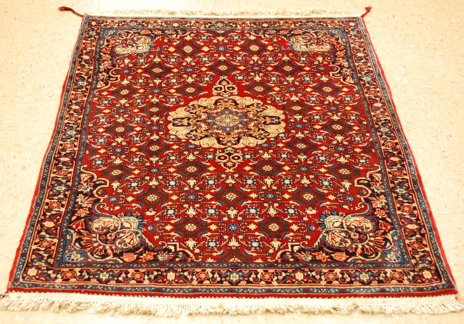 Persian BIJAR RUG 3'10" x5' (1 of 12)