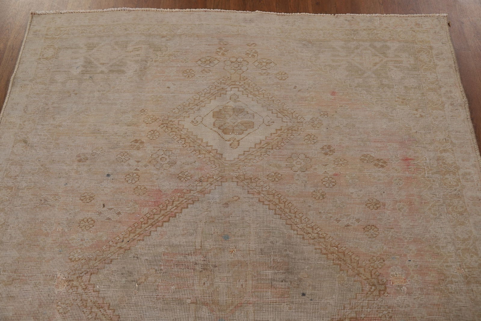Distressed Shiraz Persian Area Rug 5x6 - 14